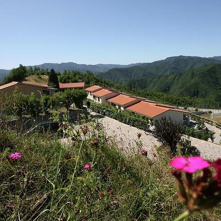 Beautiful Home With Terrace, Located In Nature Salecchio Eksteriør billede