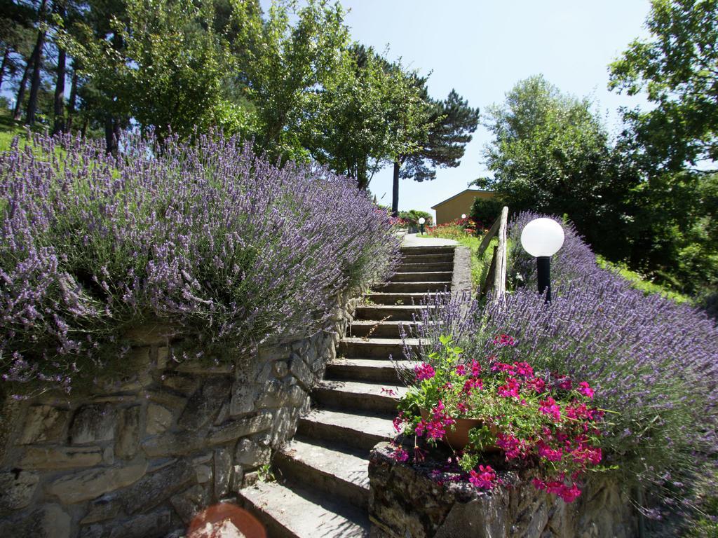 Beautiful Home With Terrace, Located In Nature Salecchio Eksteriør billede